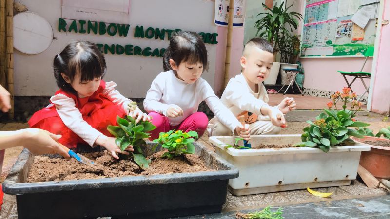 Rainbow Montessori Kindergarten