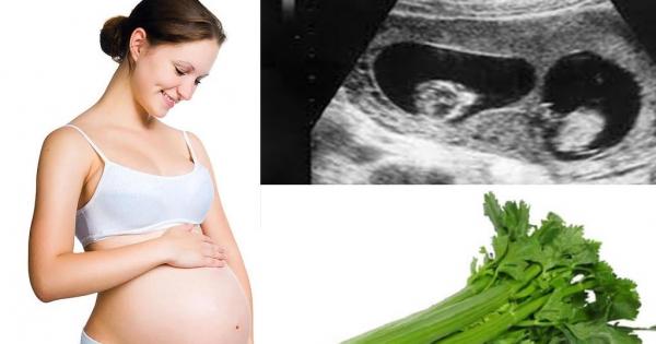 Rau cần tốt cho bà bầu