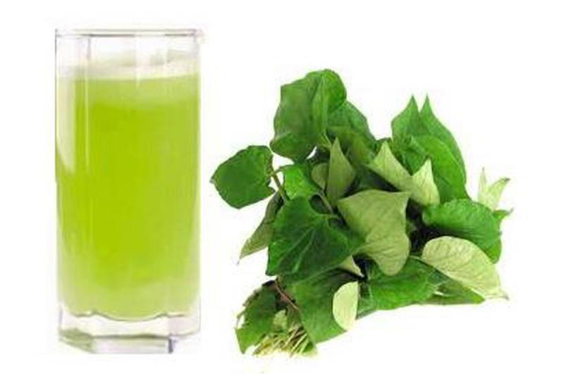 Rau diếp cá trị nhiệt miệng