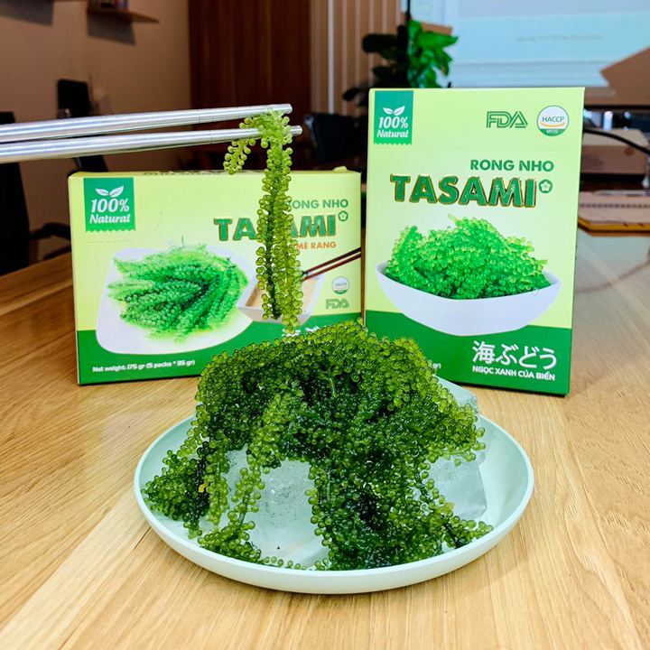 Rong nho tách nước Tasami