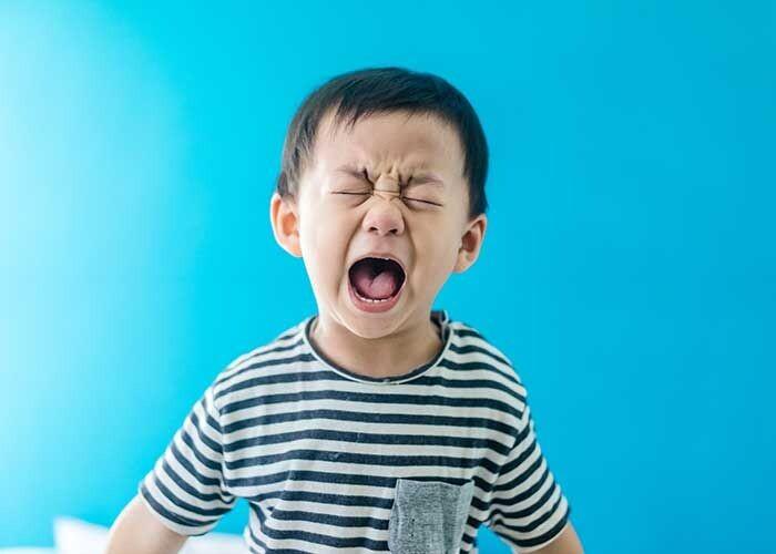 Rồng Việt Education