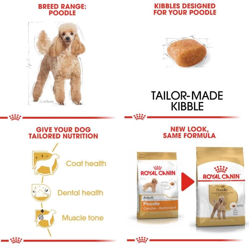 Royal Canin
