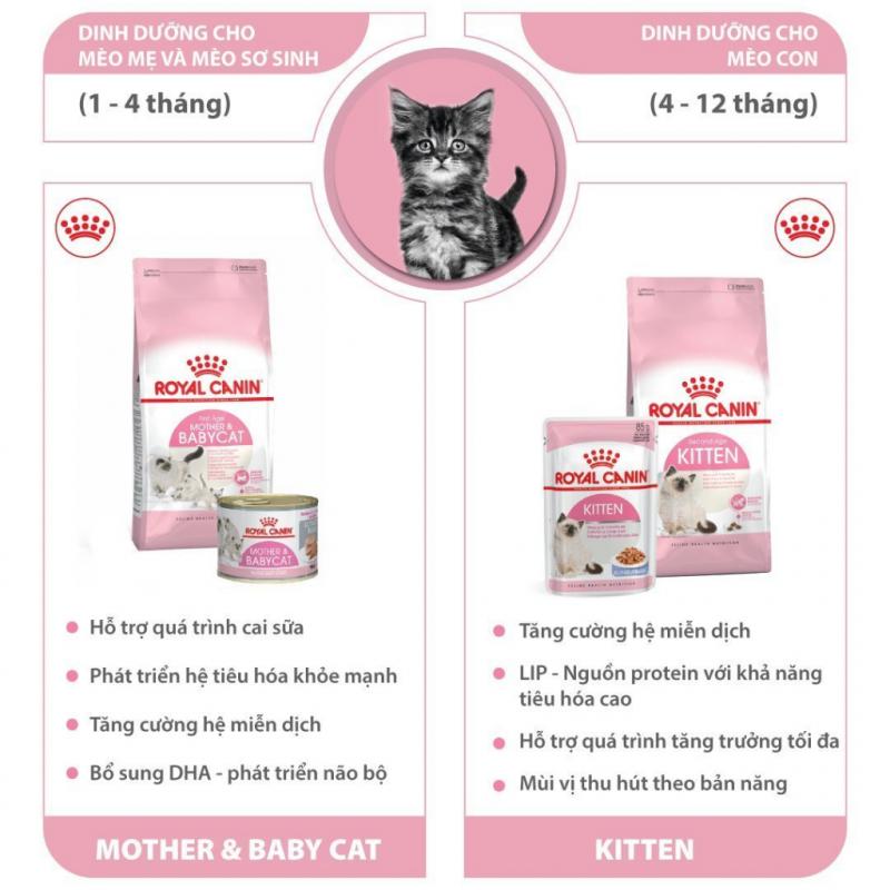 Royal Canin