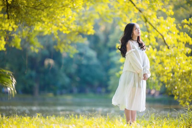Hoa nắng