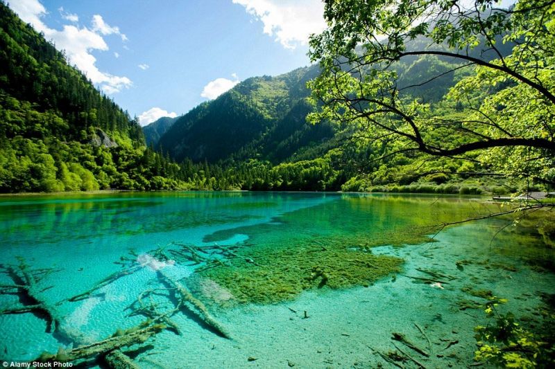 Rừng Jiuzhaigou