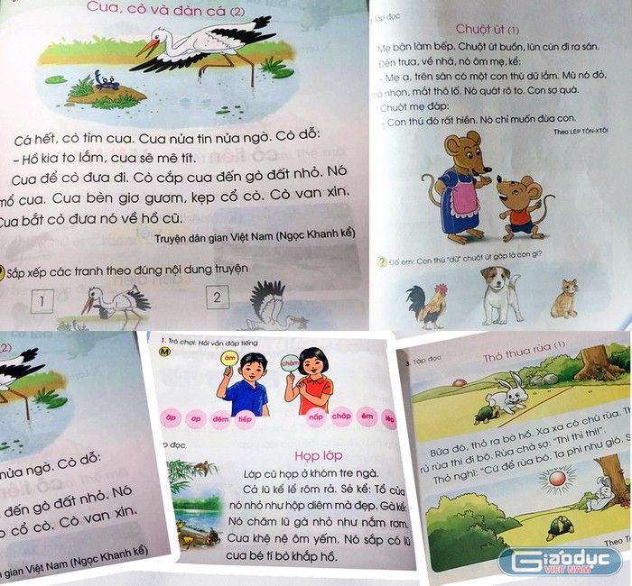 Cho con tham gia câu lạc bộ sách