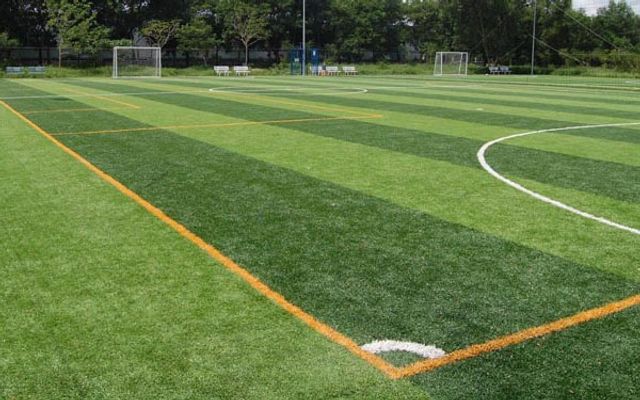 Sân bóng cỏ nhân tạo Cần Đước
