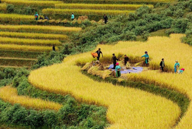Hãy hào mình vào thiên nhiên nơi đây bạn nhé!
