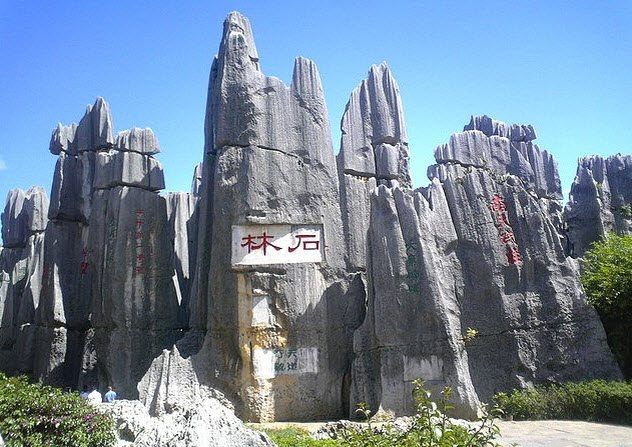 Shilin Forest