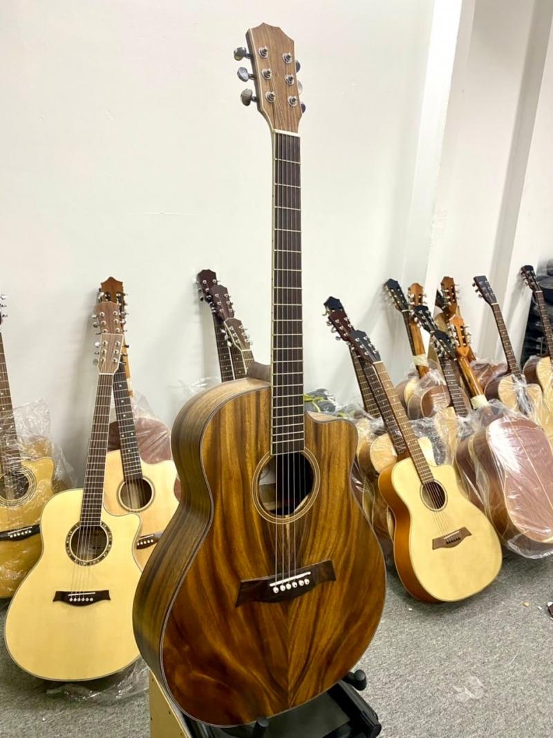 Shop Guitar Hải Phòng