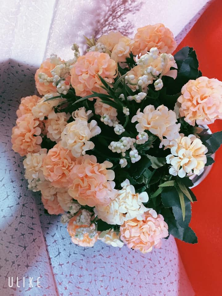 Shop Hoa Phượng Thy 2
