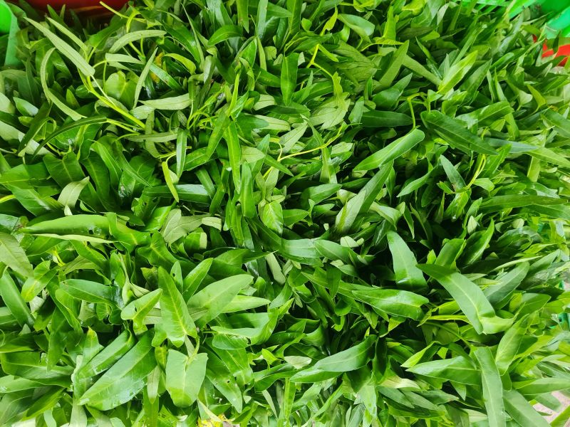 Siêu thị thực phẩm hữu cơ Bencimart
