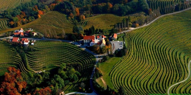 Valentine tại Slovenia không được tổ chức vào ngày 14/2