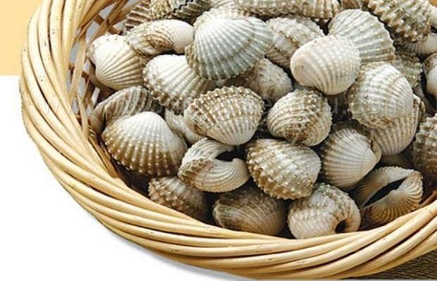 Sò huyết được đánh giá là món ăn ngon, là bài thuốc hữu hiệu trong dân gian Việt Nam.