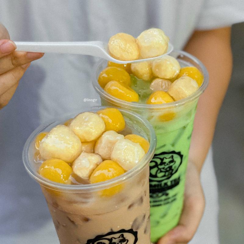 Sóc Milktea