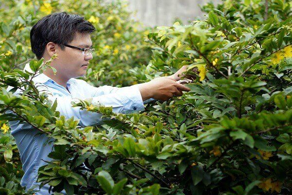 Sử dụng Sử dụng Giấm trắng
