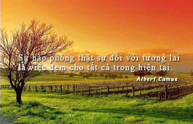 Ảnh minh họa (Nguồn Internet)