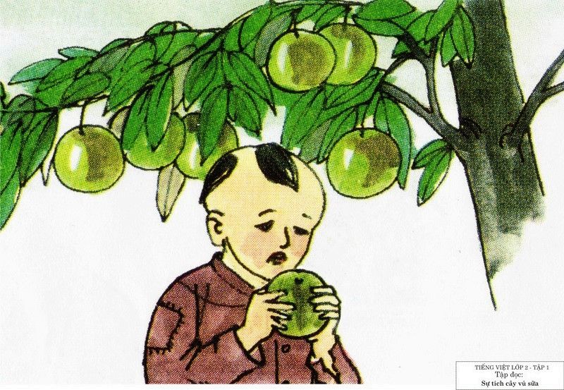 Sự tích cây vú sữa
