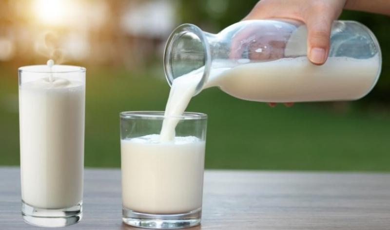 Sữa và các sản phẩm từ sữa