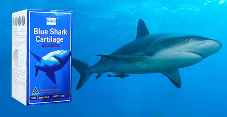 Sụn vi cá Mập Blue Shark Cartilage Costar