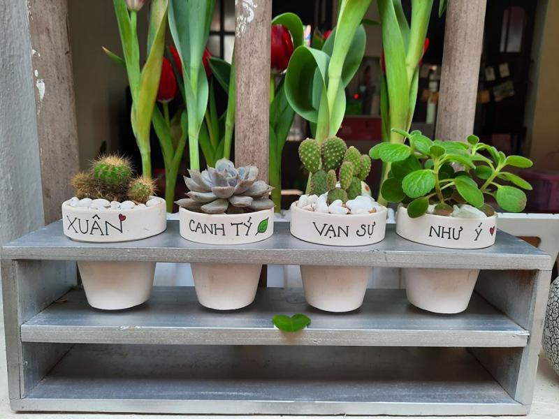 Những mẫu cây rất xinh xắn tại Tài Lộc Garden