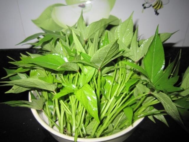 Hỗ trợ giảm cân