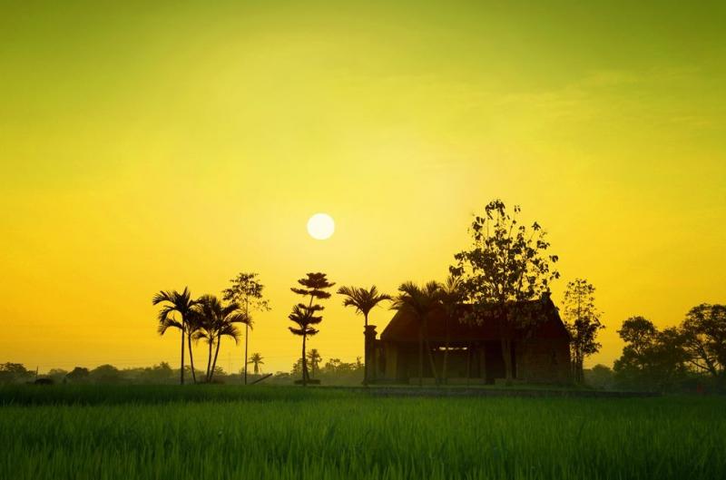 Tuổi thơ với quê hương