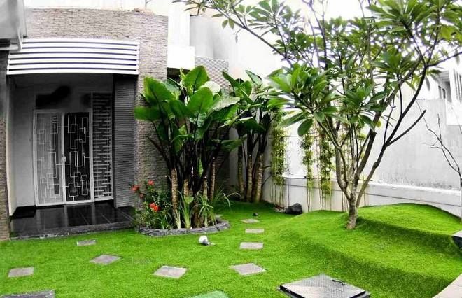 Tăng cường dinh dưỡng cho cây thân cỏ
