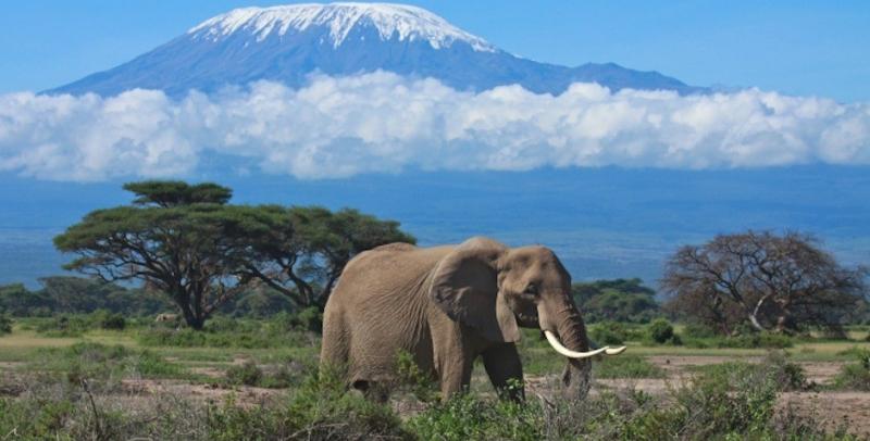 Tanzania