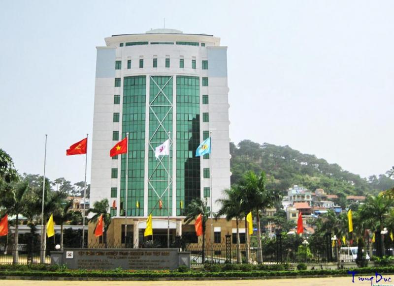 Tập đoàn Công nghiệp Than - Khoáng sản Việt Nam