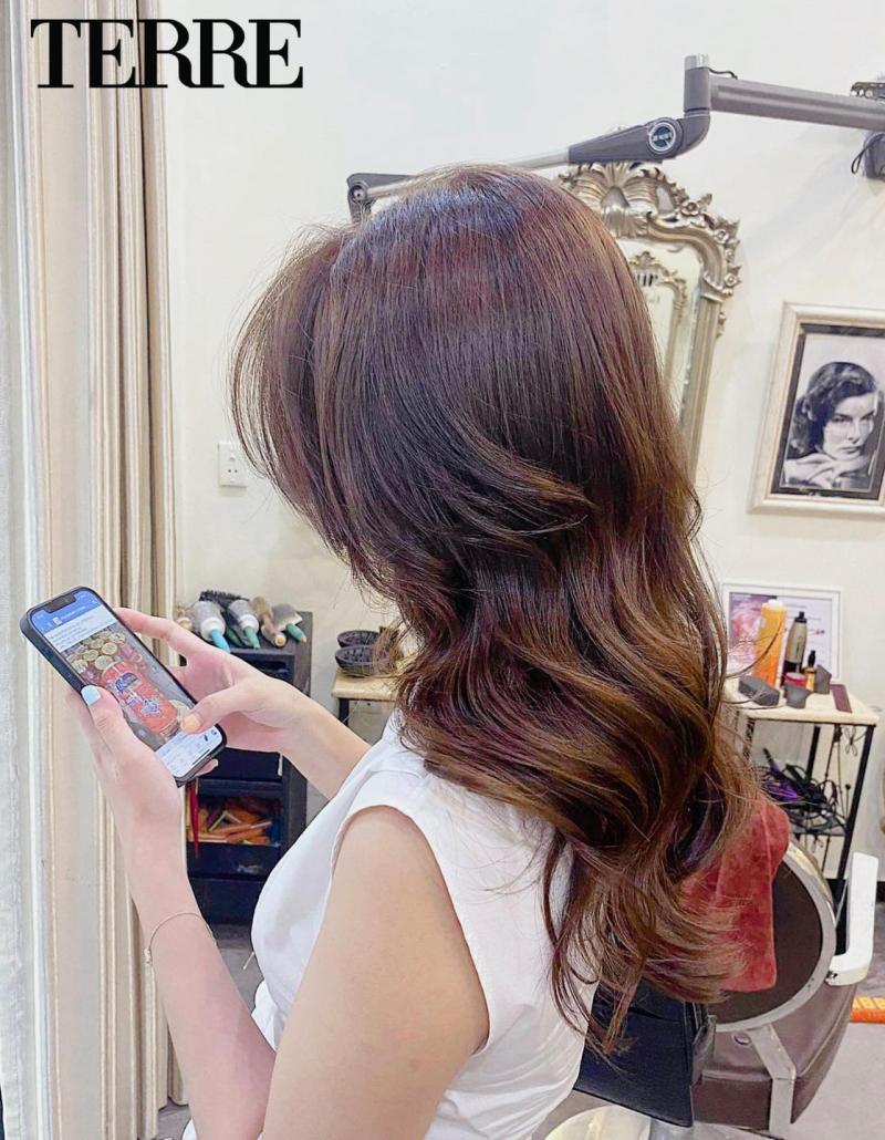 Terre Hair Salon