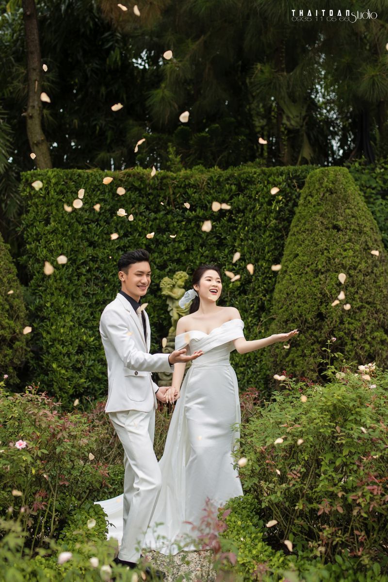 Thái Toàn Studio