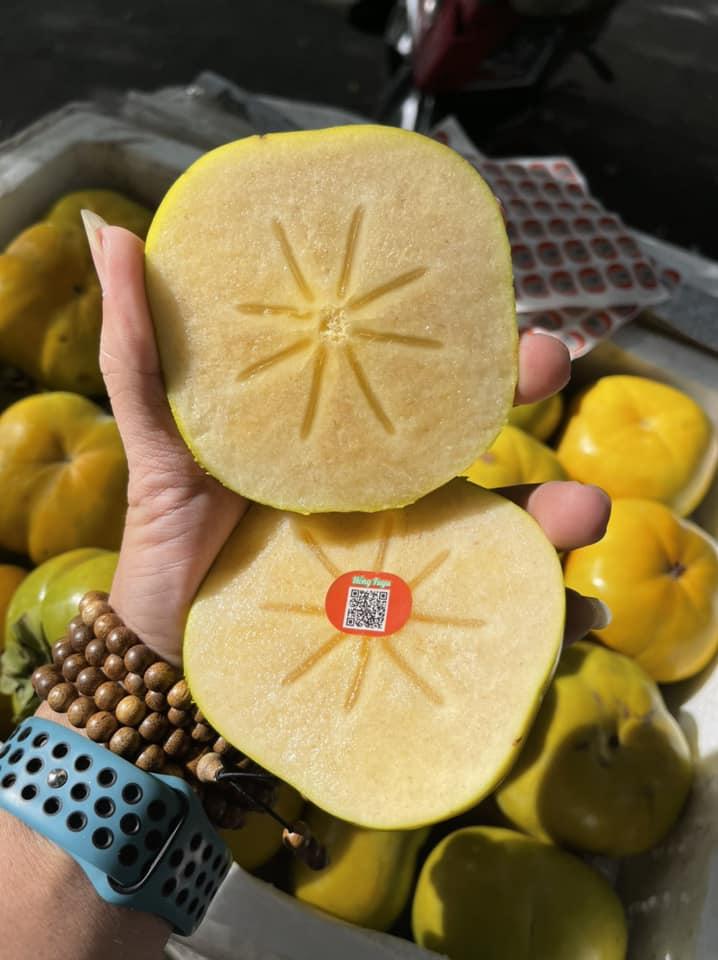 Thành Nam Fruit