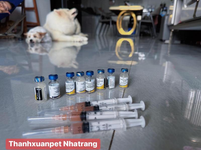 Thanhxuanpet Nha Trang