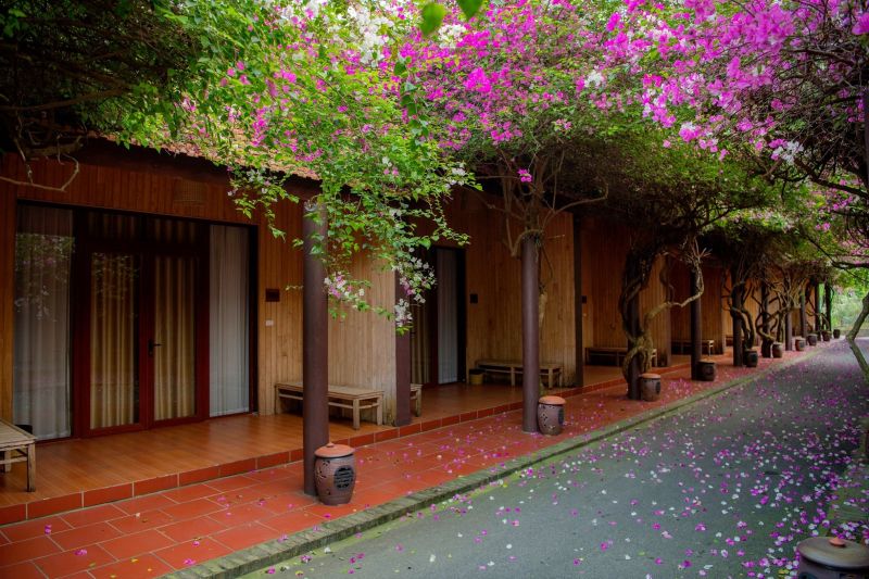 Thảo Viên resort