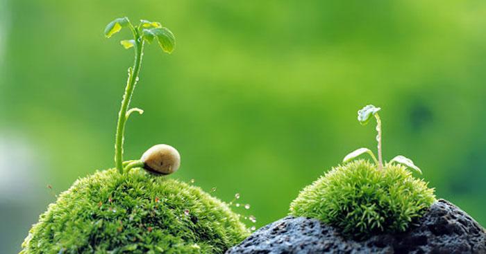 Đến cuối cùng mình chỉ là người dưng