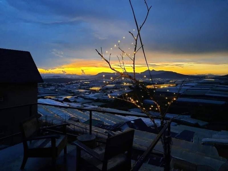 The Attica Homestay In DaLat