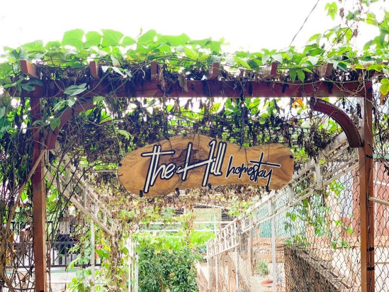 The Hill Homestay