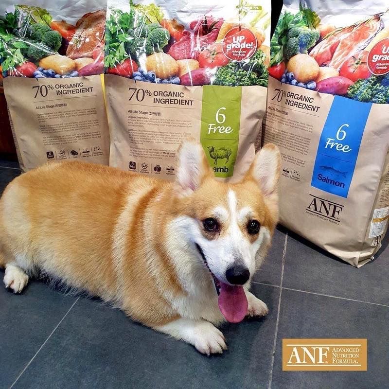 ANF