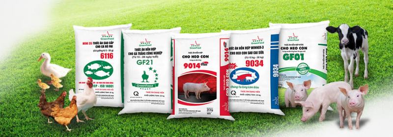 Thương hiệu thức ăn GreenFeed đã trở nên thân thuộc với hàng triệu nhà chăn nuôi, và làm nên vị thế của GreenFeed