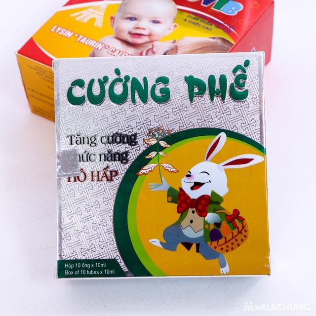 Thực phẩm chức năng Cường Phế