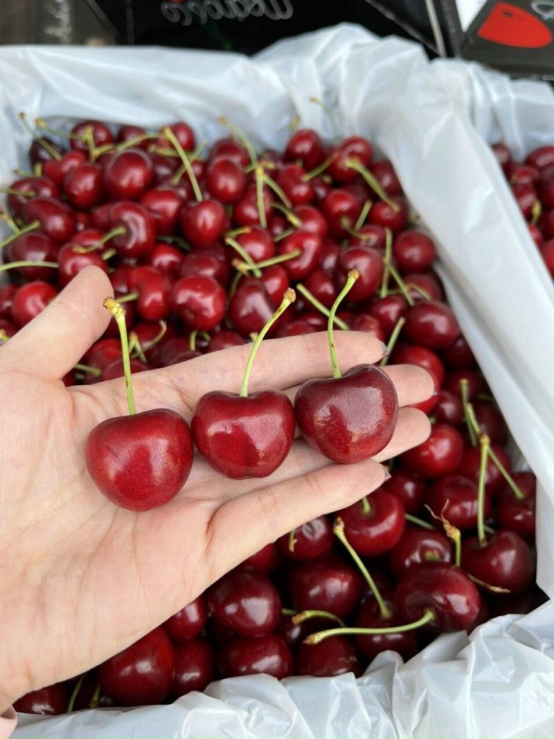 Thủy Anh Fruits