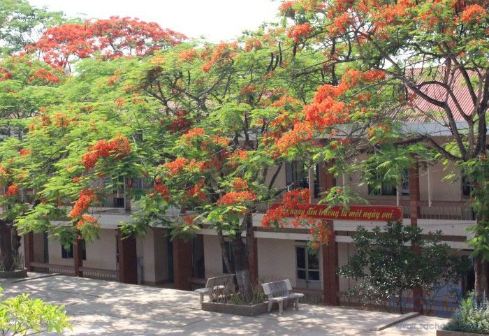 Ảnh minh họa (nguồn internet)