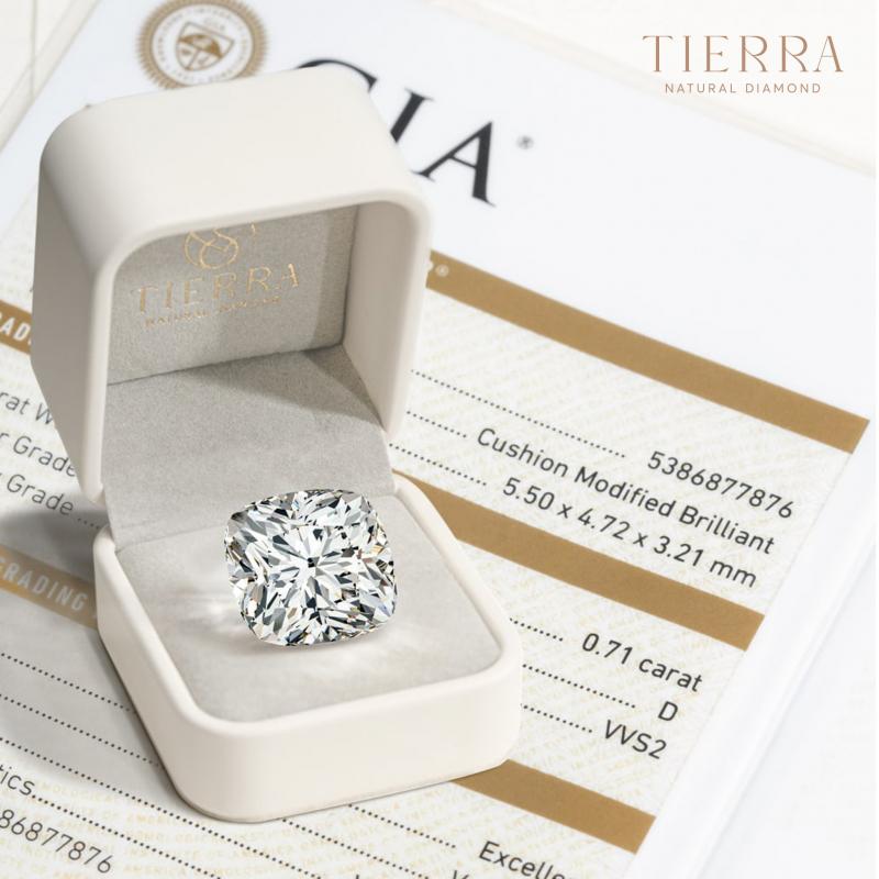 Tierra Diamond - Kim cương Thiên nhiên