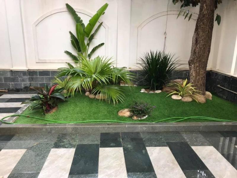 Tiểu cảnh sân vườn