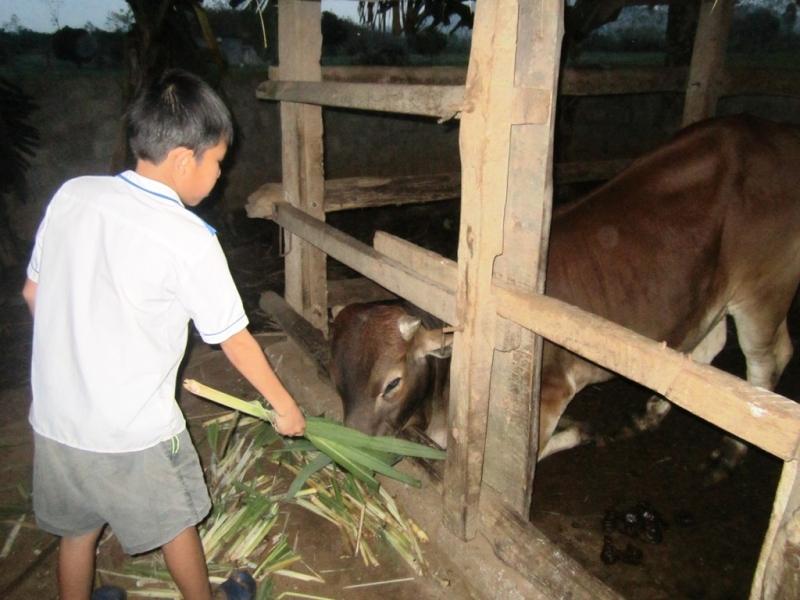 Tình huống sư phạm thường gặp ở tiểu học và cách giải quyết hay nhất