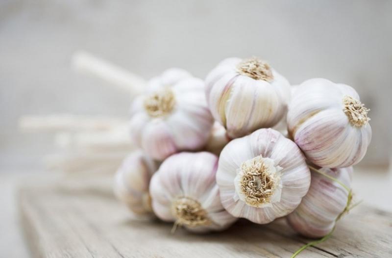 Tỏi giúp kiểm soát huyết áp