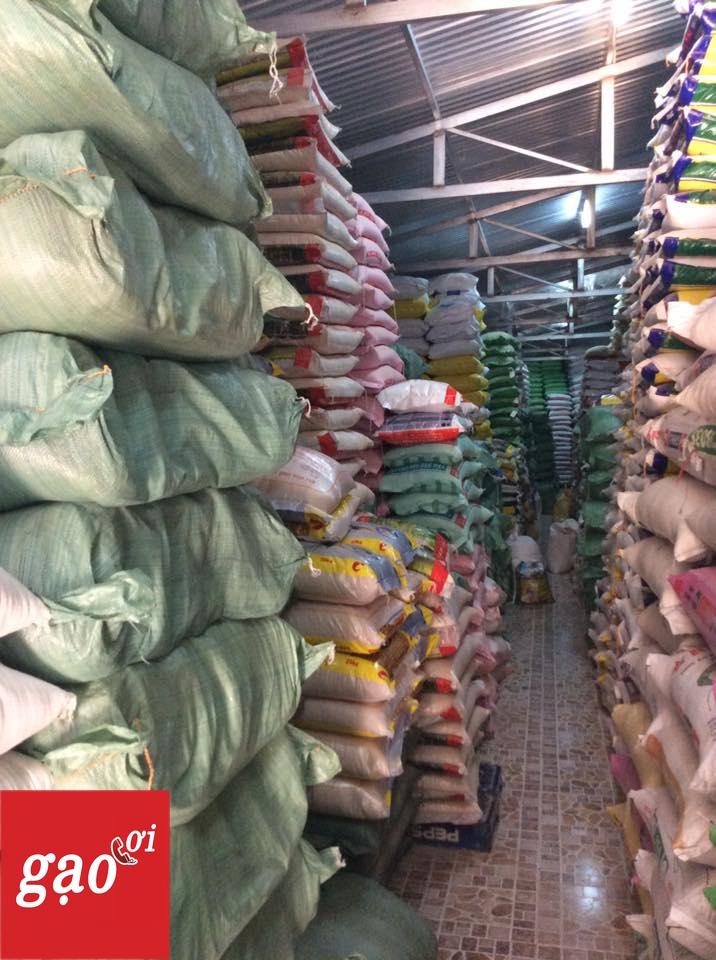 Tổng đại lý Gạo Ơi
