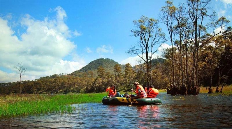 Tour chèo thuyền ngắm lá phong Đà Lạt được tổ chức bởi Hoa Dalat Travel