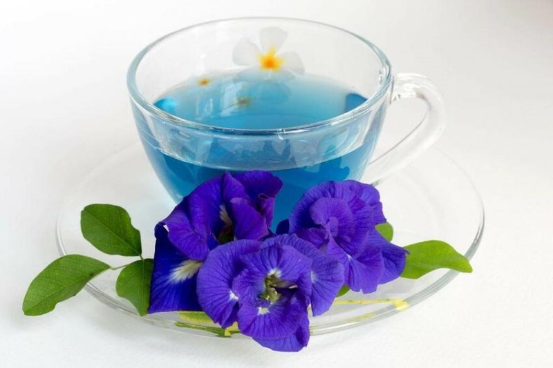Hoa đậu biếc